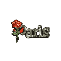 Paris pailletten applicatie Paris pailletten applicatie