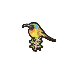 applicatie ijsvogel op tak applicatie ijsvogel op tak