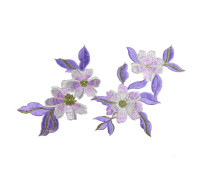applicatie geranium