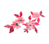 applicatie geranium