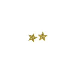 applicatie ster goud 2,5 cm 2 stuks applicatie ster goud 2,5 cm 2 stuks