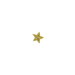 applicatie ster goud 3 cm applicatie ster goud 3 cm