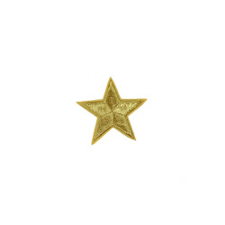 applicatie ster goud 6 cm applicatie ster goud 6 cm