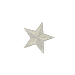 applicatie ster wit 8 cm applicatie ster wit 8 cm