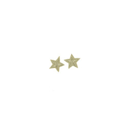 applicatie ster zilver 2,5 cm 2 stuks applicatie ster zilver 2,5 cm 2 stuks