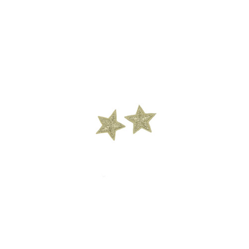 applicatie ster zilver 2,5 cm 2 stuks
