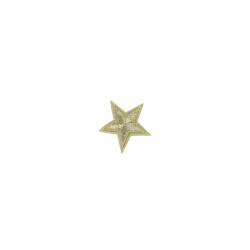 applicatie ster zilver 4 cm applicatie ster zilver 4 cm