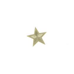applicatie ster zilver 5 cm applicatie ster zilver 5 cm