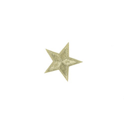 applicatie ster zilver 6 cm applicatie ster zilver 6 cm