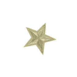applicatie ster zilver 8 cm applicatie ster zilver 8 cm