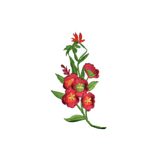 applicatie veldbloem rood applicatie veldbloem rood