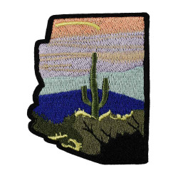 Arizona cactus patch Arizona cactus patch