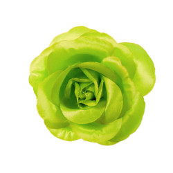 bloem corsage roos lime bloem corsage roos lime