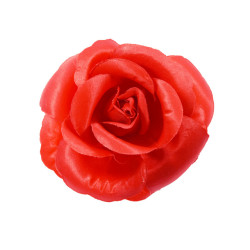 bloem corsage roos rood bloem corsage roos rood