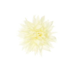 bloem corsage vanille wit dahlia bloem corsage vanille wit dahlia