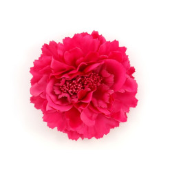 corsage fuchsia corsage fuchsia