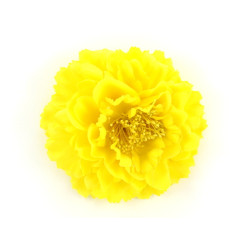 corsage geel corsage geel