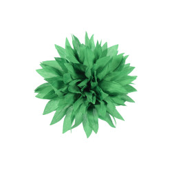 corsage groen dahlia corsage groen dahlia