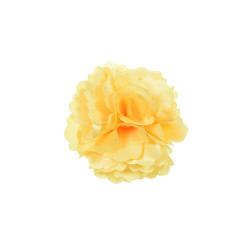 corsage ivoor azalea corsage ivoor azalea