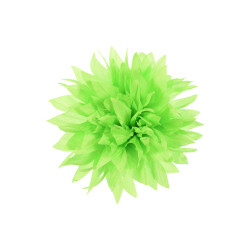 corsage neon groen dahlia corsage neon groen dahlia