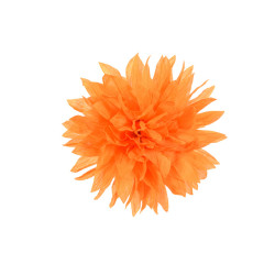 corsage oranje dahlia corsage oranje dahlia
