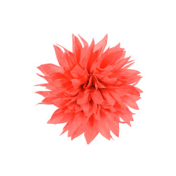 corsage rouge rood dahlia corsage rouge rood dahlia