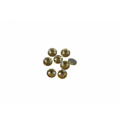 hot-fix steentjes licht goud SS10 hoge kwaliteit (288 stuks) hot-fix steentjes licht goud SS10 hoge kwaliteit (288 stuks)