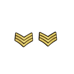 rang onderscheiding embleem goud 2 stuks rang onderscheiding embleem goud 2 stuks