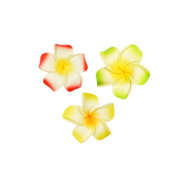 rood geel groen bloem corsage set klein rood geel groen bloem corsage set klein