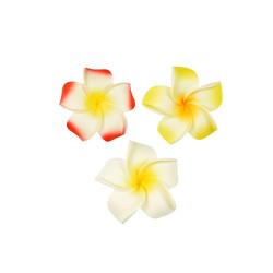 rood wit geel bloem corsage set klein rood wit geel bloem corsage set klein