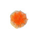 tule corsage oranje glitter groot tule corsage oranje glitter groot - 1