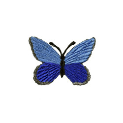 vlinder applicatie blauw vlinder applicatie blauw